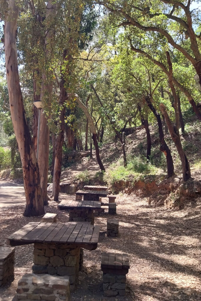 Parque de merendas da Fonte Férrea