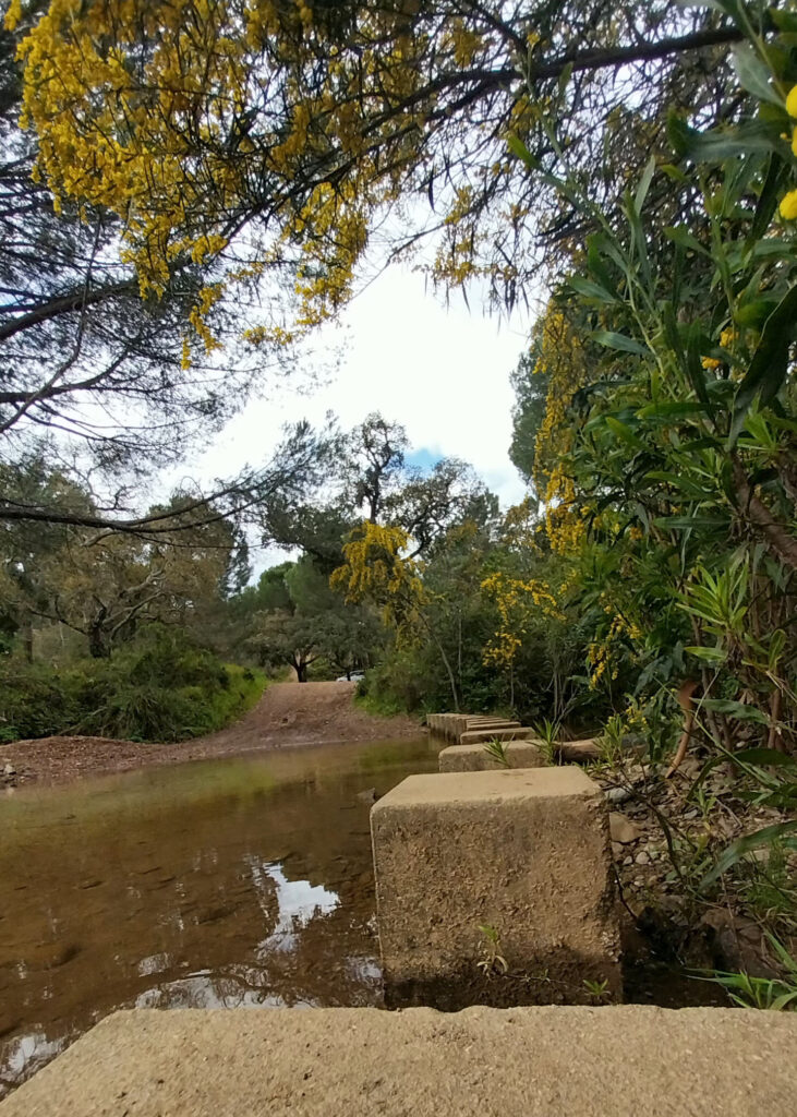 Poldras para atravessar a Ribeira de Alportel em 04/2025.